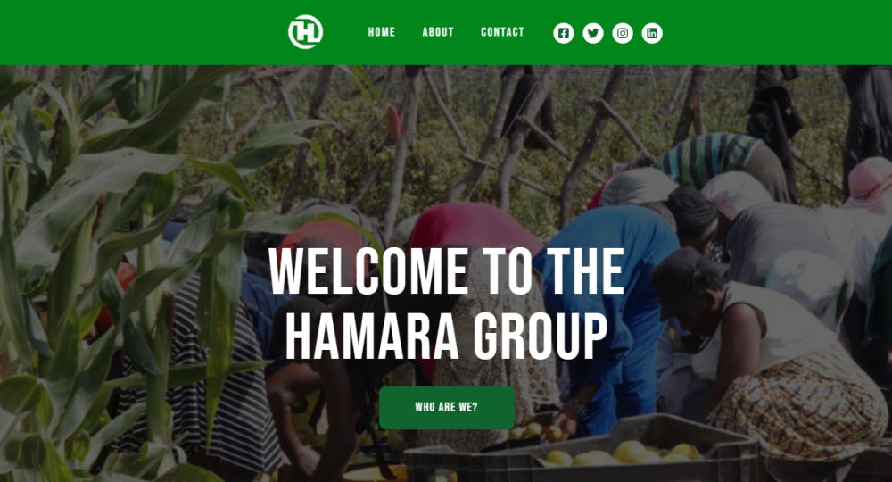 Hamara Group Website